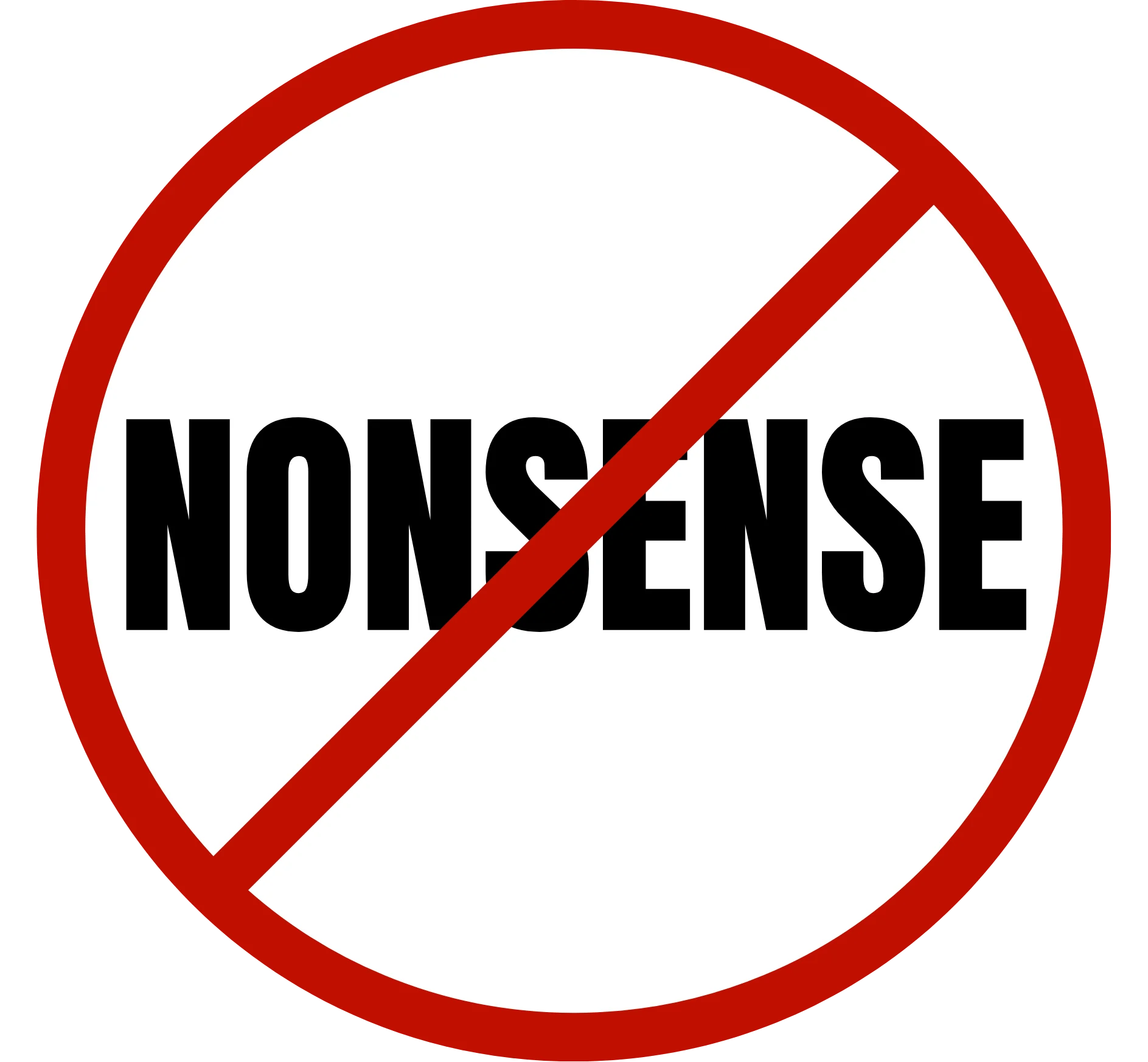 No Nonsense Handyman Services Logo with background